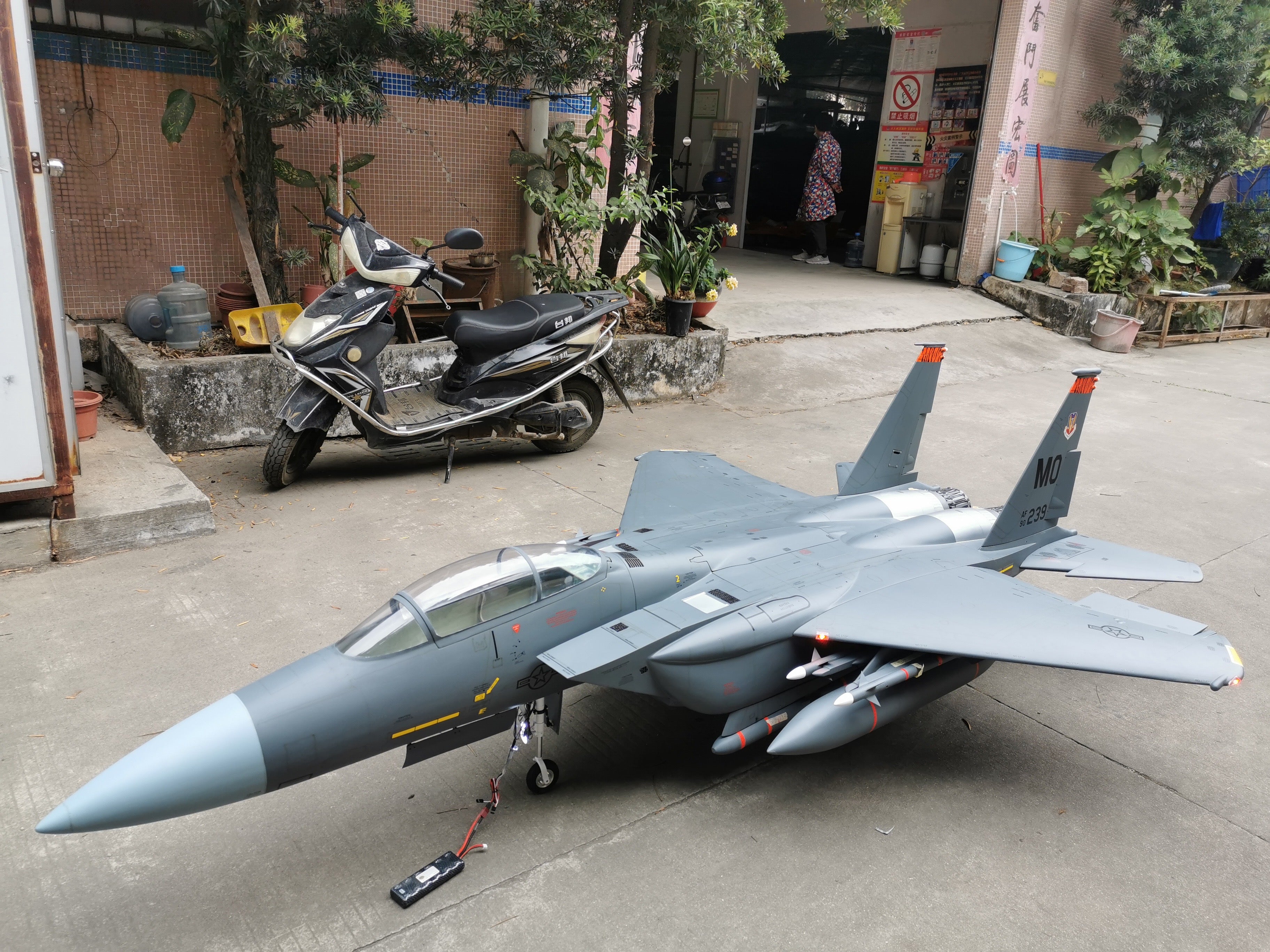 FeiBao F-15E 1/7 Wingspan: 74