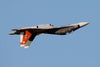 Global AeroJet SU30 3D Jet