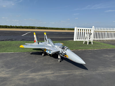 AeroJet F-15C Eagle 2.2M (1/9 scale) Jet