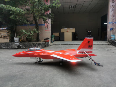 FeiBao F-15D Wingspan:55"(1400mm)