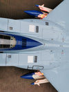 FeiBao F-15C Wingspan: 1/7 Scale 74"(1880mm)