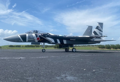 AeroJet F-15C Eagle 2.2M (1/9 scale) Jet