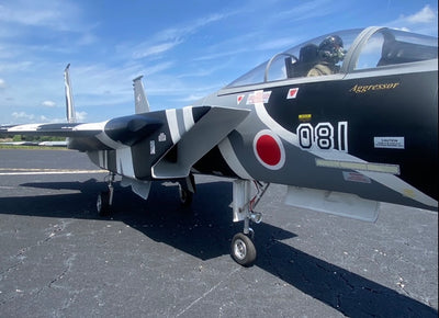 AeroJet F-15C Eagle 2.2M (1/9 scale) Jet