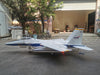 FeiBao F-15E 1/7 Scale Wingspan: 74"(1880mm)